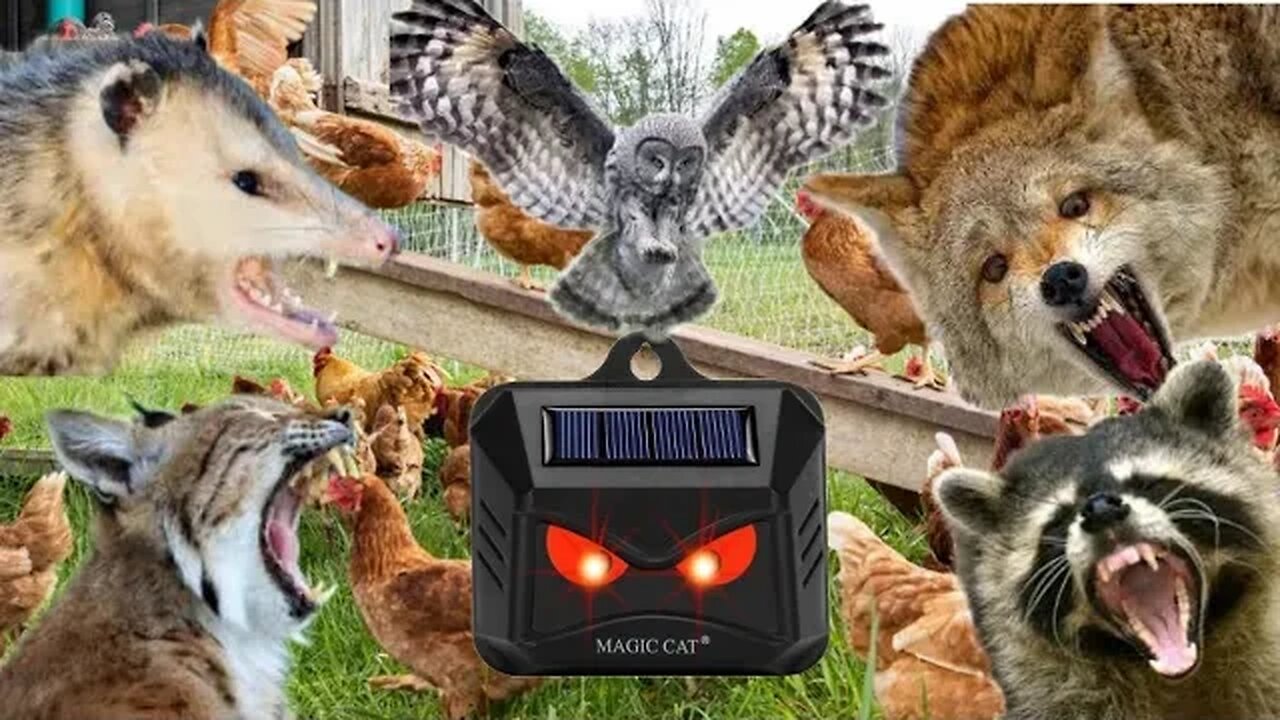 Predator Lights - Do the work? Solar Predator Control Light