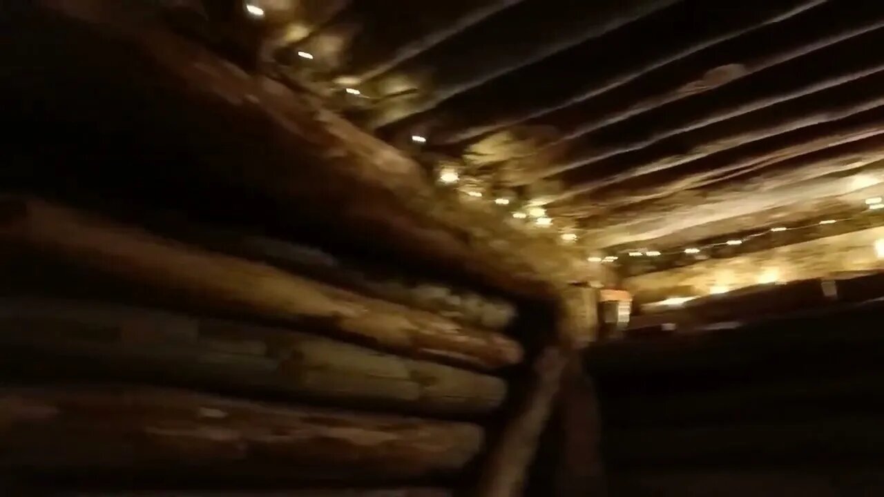 Earth shelter. I found a dungeon in the woods.5