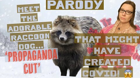 Neoliberals gushing about raccoon dog pandemic origin story but it’s so flimsy . Here’s how.