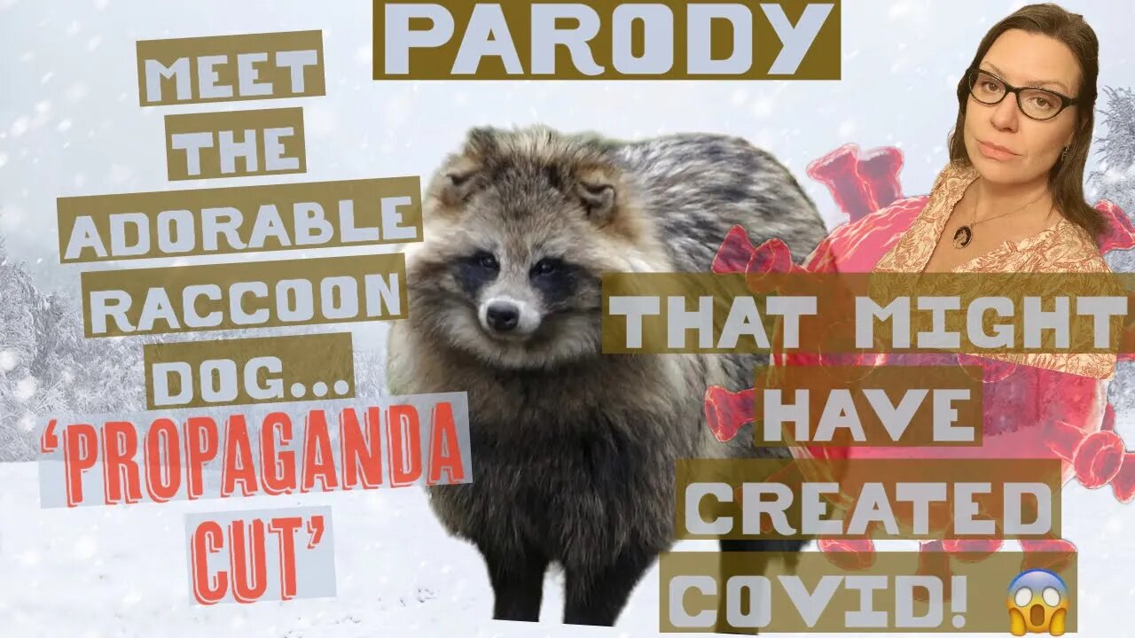 Neoliberals gushing about raccoon dog pandemic origin story but it’s so flimsy . Here’s how.