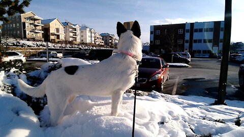 Everest first time in the snow