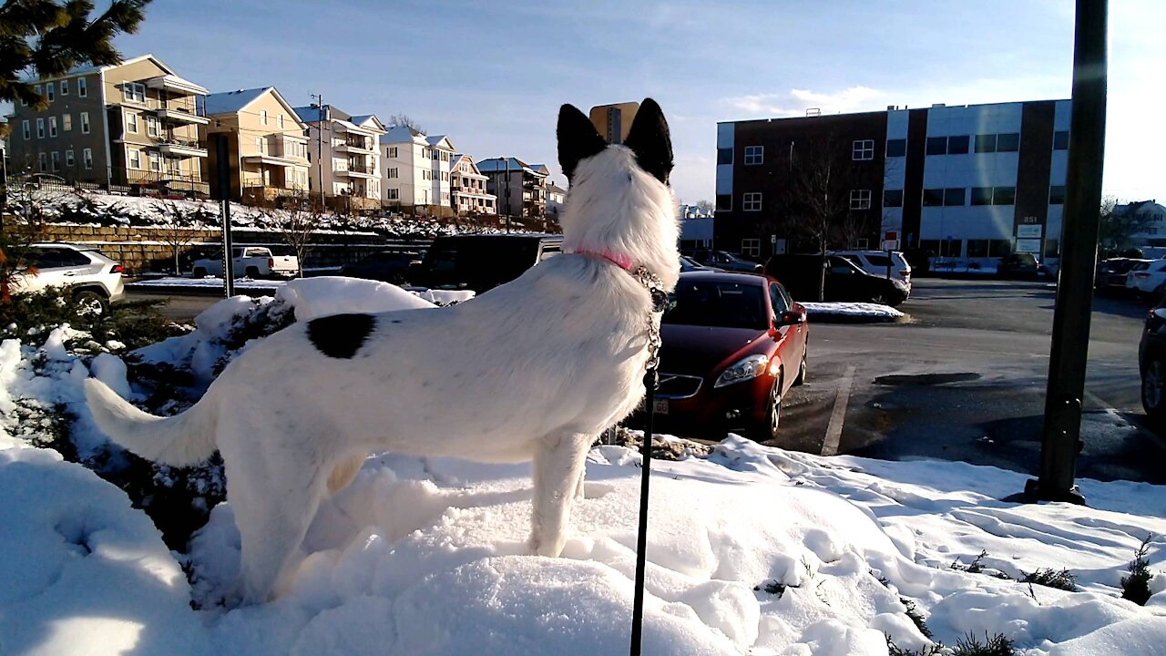 Everest first time in the snow