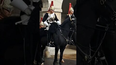 Blues and royals summer 2022 #horseguardsparade