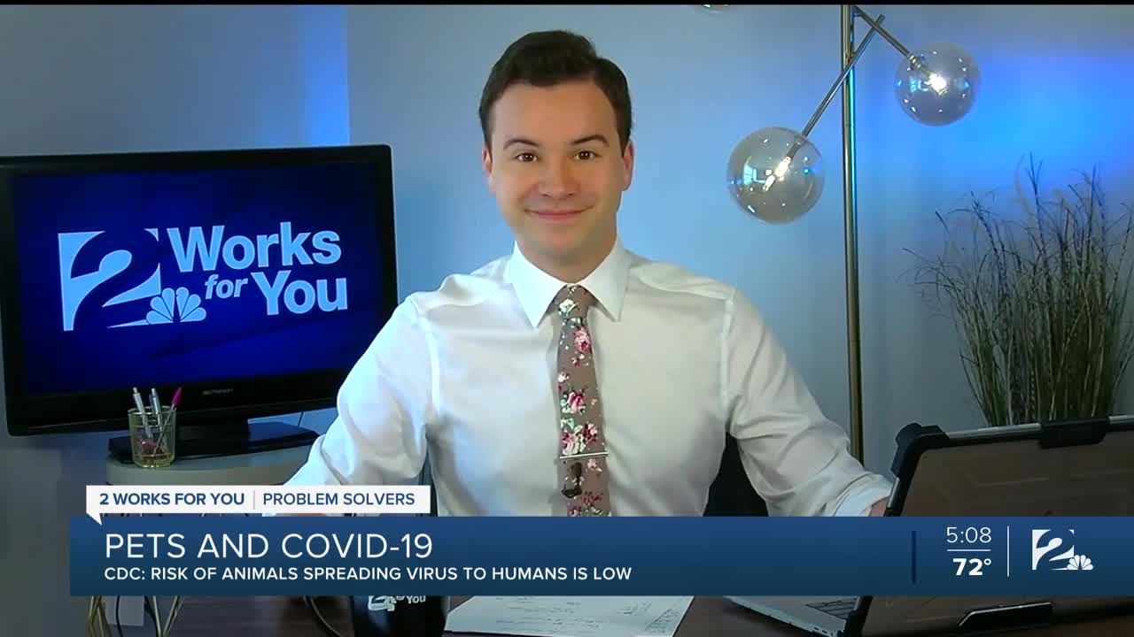 Problem Solvers Coronavirus Hotline: Pets and COVID-19