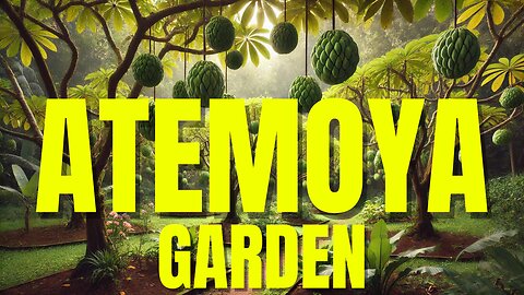 Atemoya Garden Tour: Discover the Unique Flavor of this Exotic Fruit!