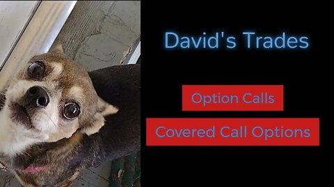 Explaining calls, selling/buying and covered calls. Compare my portfolio against the SPY
