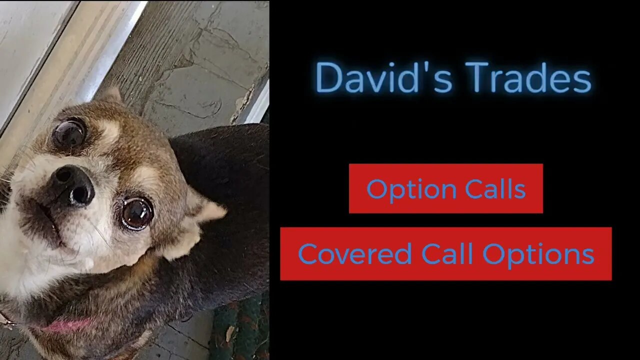 Explaining calls, selling/buying and covered calls. Compare my portfolio against the SPY