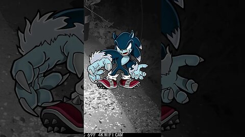 Sonic The Werehog #Visits #Shorts