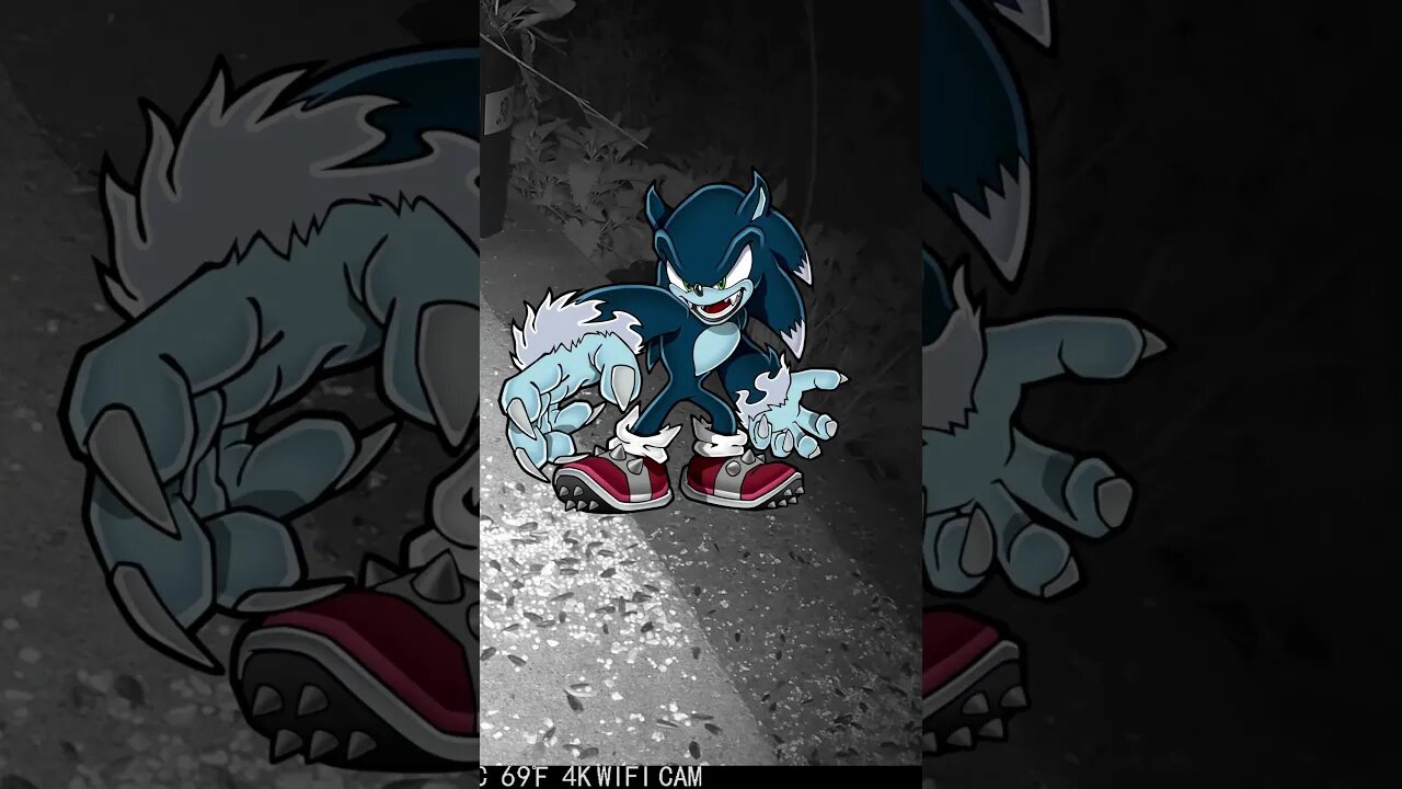 Sonic The Werehog #Visits #Shorts