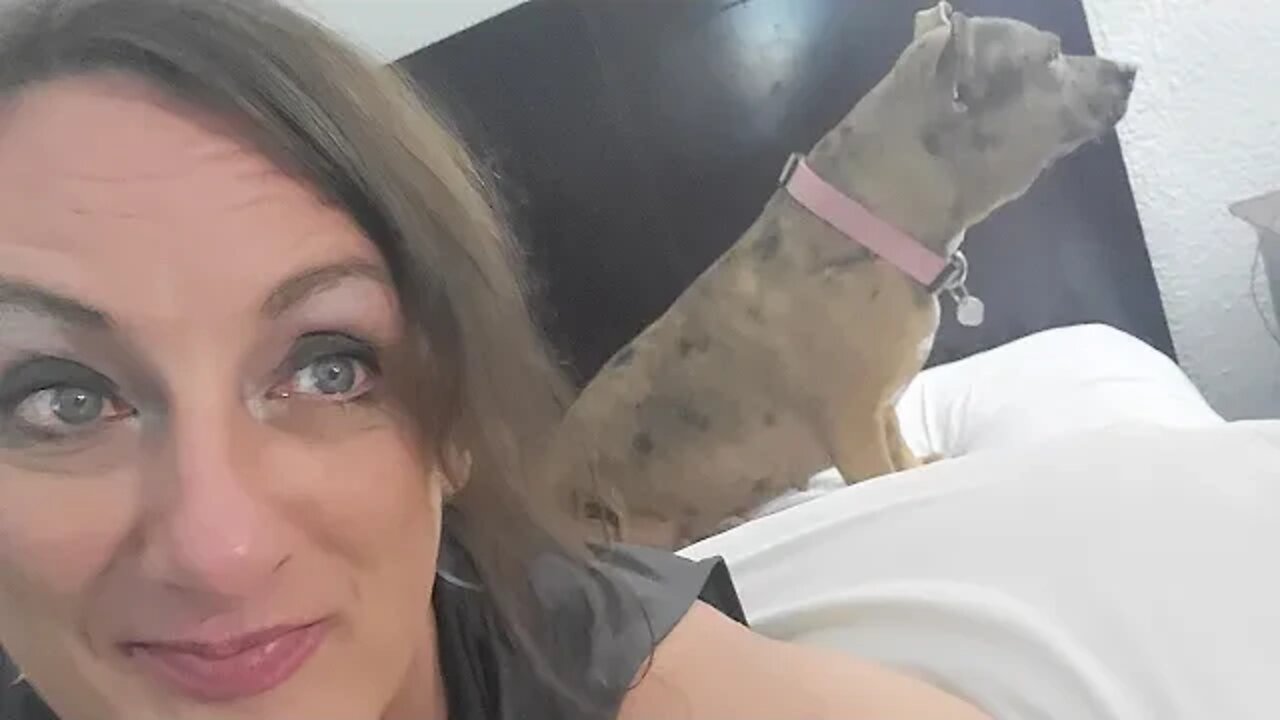 $500k lawsuits arbitrated/adjudicated in 10 minutes// Kimberly Sharp-Byrd