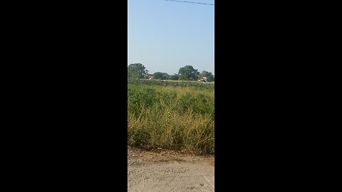Nature Live