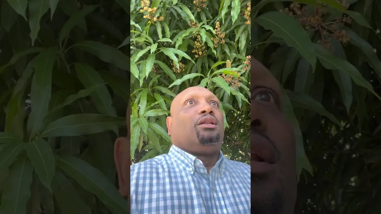 Hedgies and Banks not snitching to the DOJ it’s like Escobar snitching to DEA Never going to happen