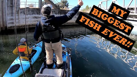 THE BIGGEST FISH OF MY LIFE