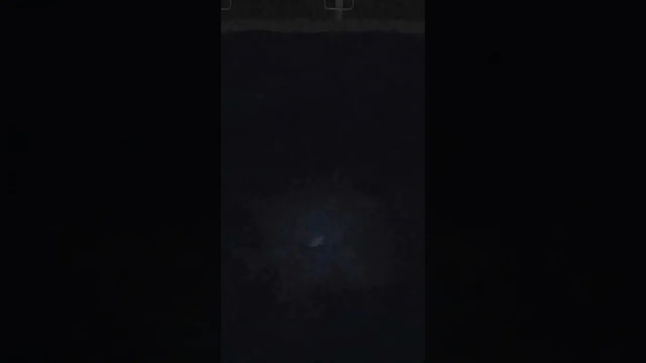 What... is.... that...?