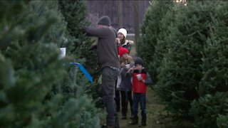 Christmas Tree farms look different during the pandemic