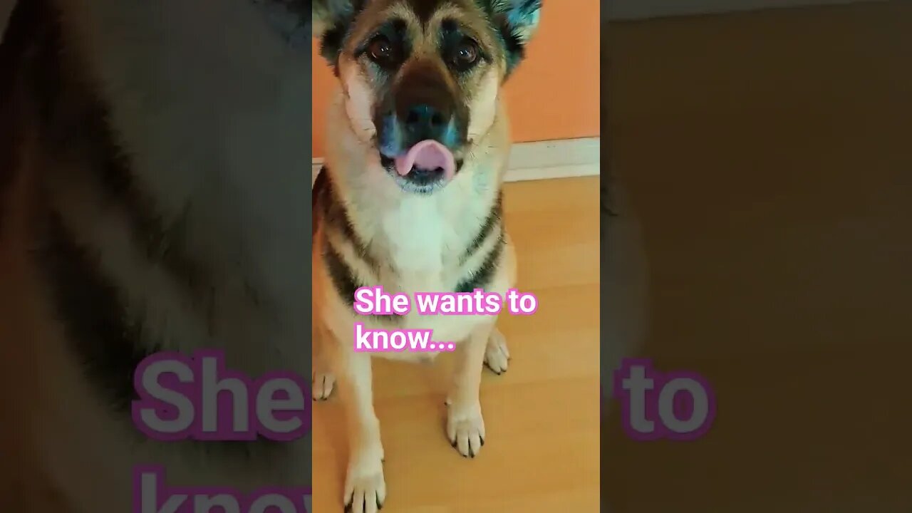 Do You Like Maples Glasses?