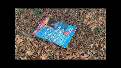 Die echten Demokraten beweisen, wie Sie die AfD inhaltlich gestellt haben