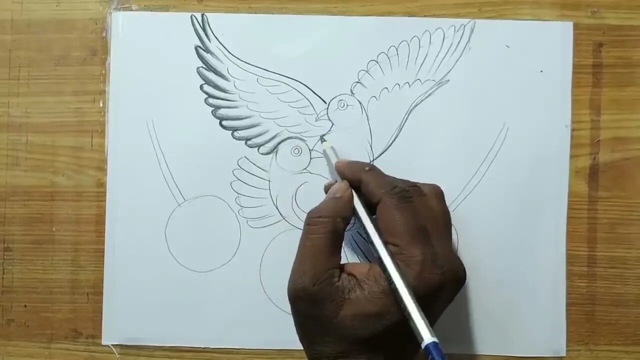 how to draw a pigeon and rose flowers with pencil sketch