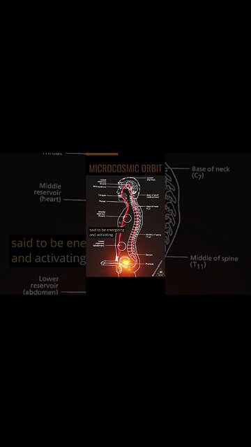 The Microcosmic Orbit 💫 Sexual Energy Circulation 🔥💥