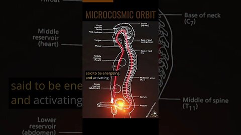 The Microcosmic Orbit 💫 Sexual Energy Circulation 🔥💥