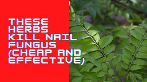 These Herbs Kill Nail Fungus (Cheap and Effective)