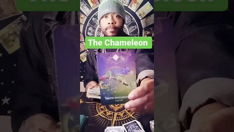 Here is the energy of today #oraclemessage