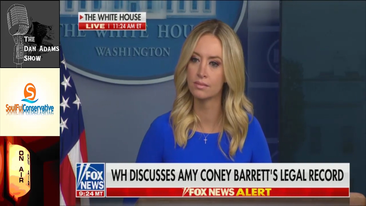 Kayleigh McEnany Smackdowns of 2020