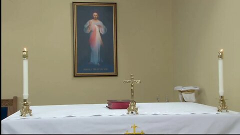 LIVE Daily Holy Mass with Fr. Frank Pavone for Monday of the Eighth Week in Ordinary Time
