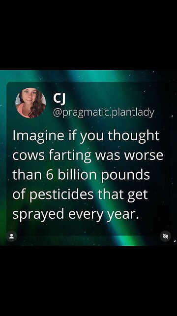 😱😱😱 Amazing stones that create melodious sounds when hit with a stone.