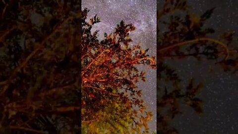 #copyrightfree #krol #krolvideos #krolvlogs #bgm