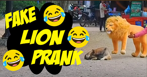 FAKE LION PRANK🤣