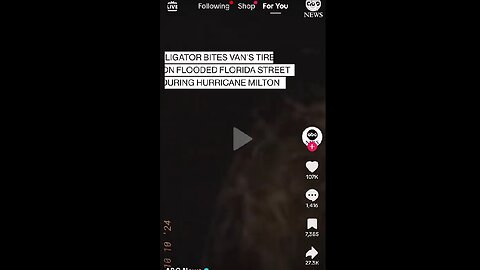 Alligator attacks van tire in the street with rising flood waters during hurricane Milton.