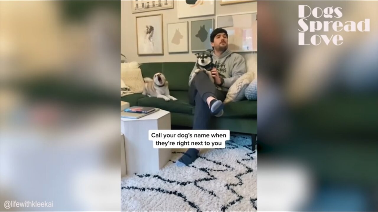 Call your dogs name when they are next to you