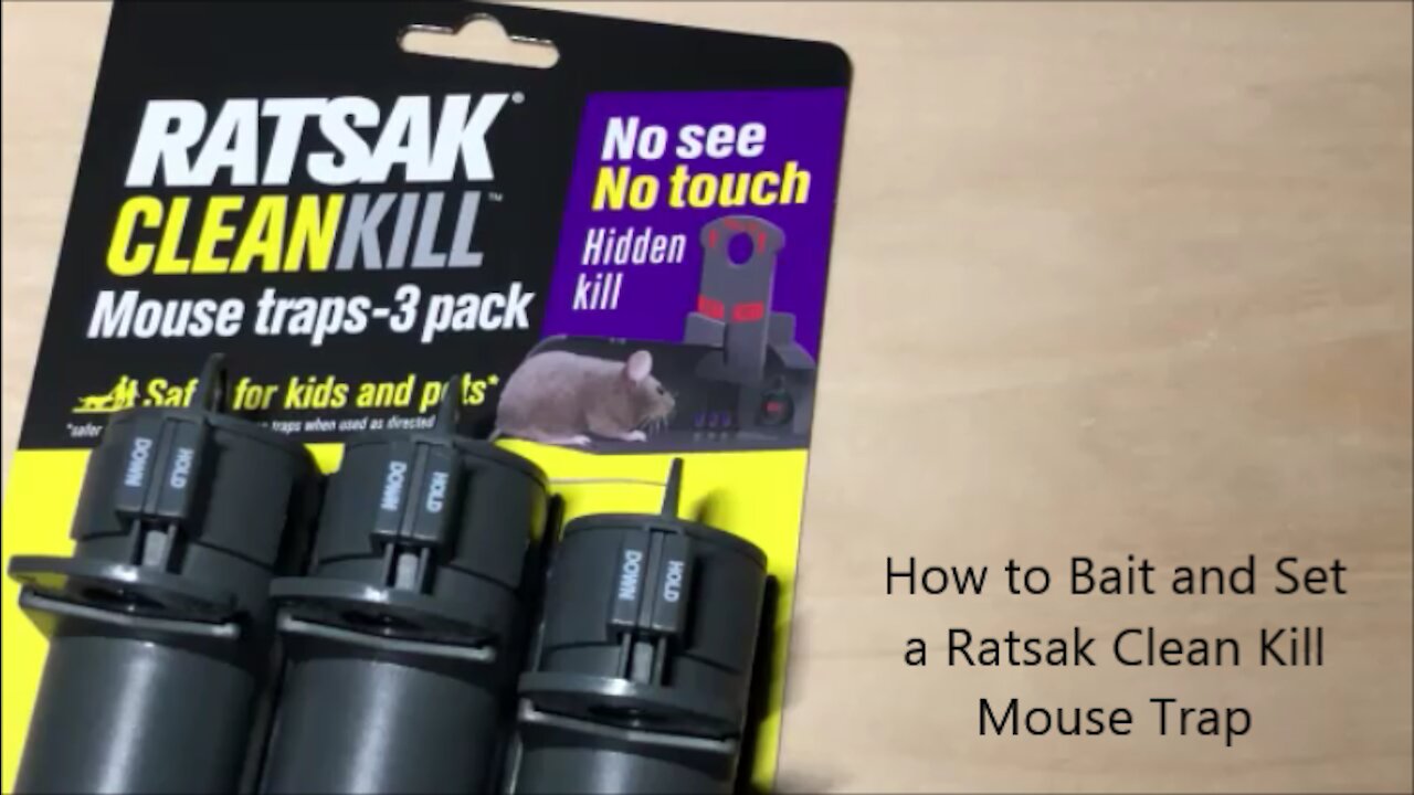 How to Bait and Set a Ratsak Clean Kill Rat Trap