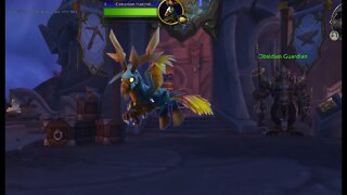 World of Warcraft Cenarion Hatchling Twitch Pet Drop Dragonflight 4k