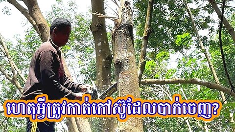 ហេតុអ្វីត្រូវកាត់កៅស៊ូដែលបាក់ចេញ?