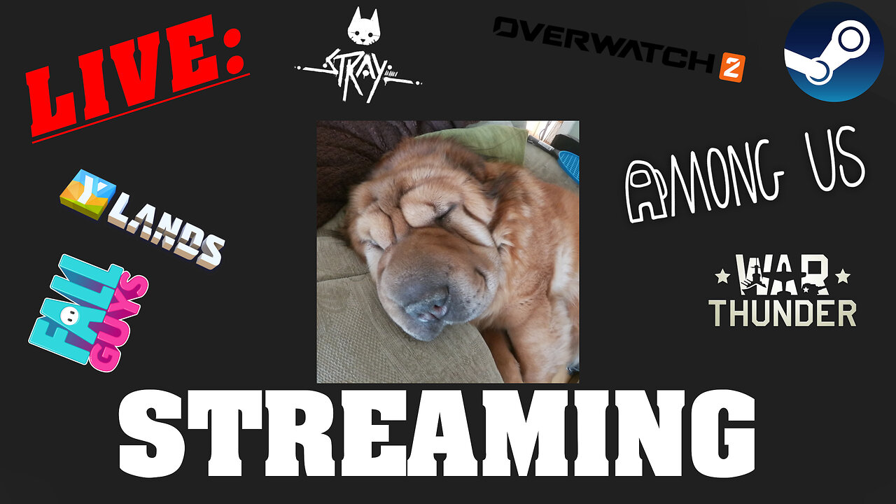TWITCH HIGHLIGHTS: TRUCK DRIVING ACROSS THE US... WHAT IS GOING ON????