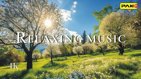 Beautiful Ralexing Music Stop 🛑