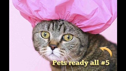 Pets ready all # 5