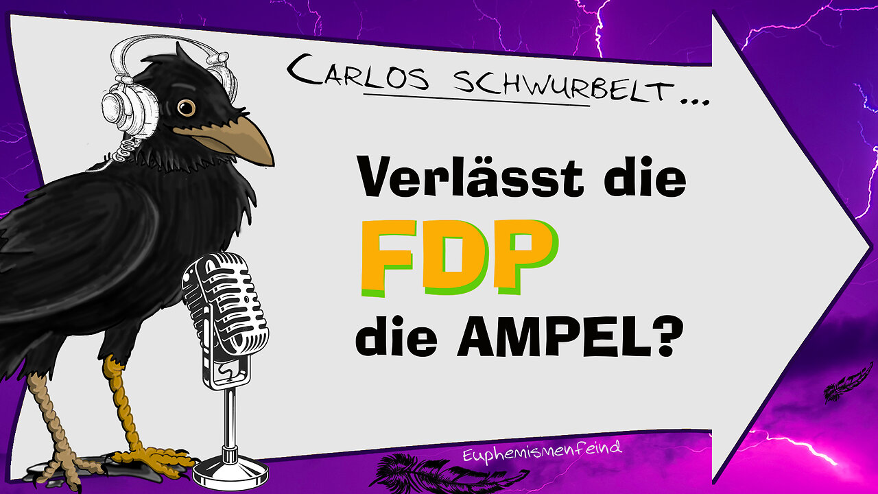 FDP fragt Mitglieder: "Sollen wir die Ampel verlassen?"