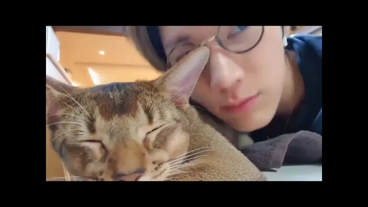 Leon's purr is so relaxing