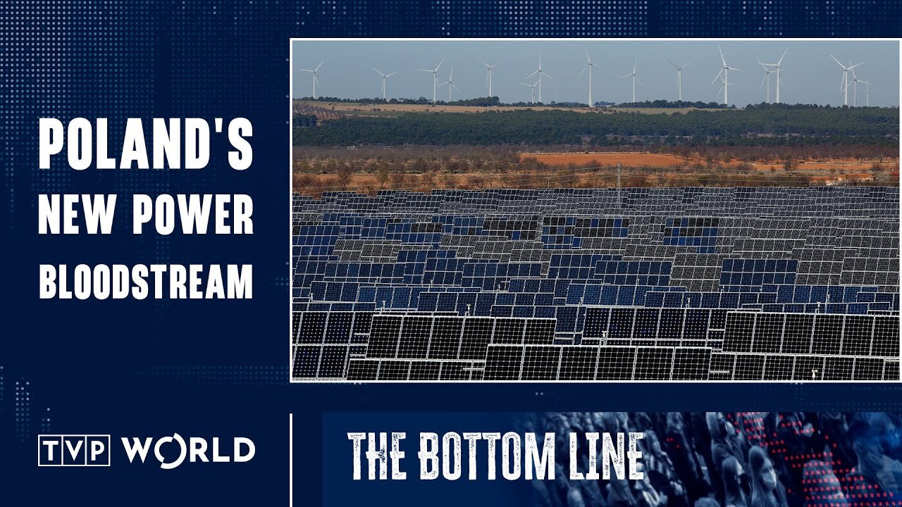 Going green means propping up power lines | Grzegorz Onichimowski