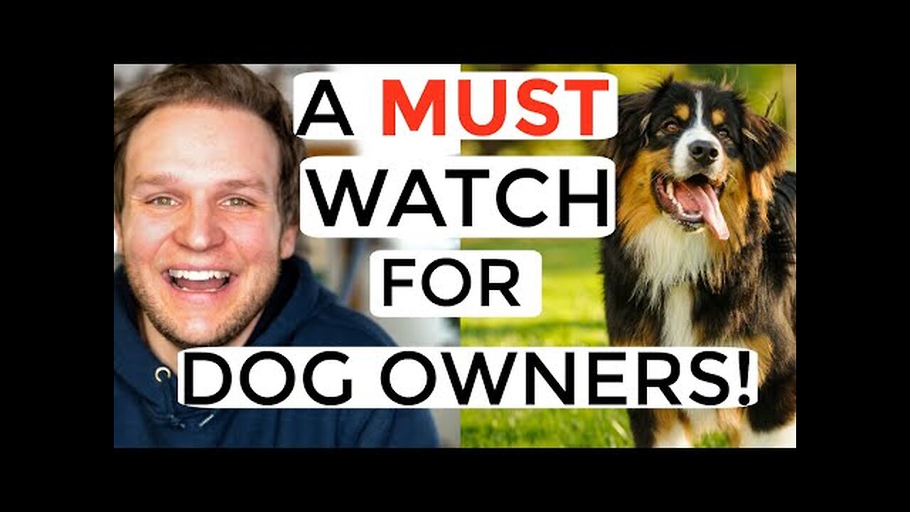 Pet training video for beginners fully step by step training