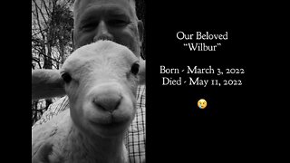 Barn Briefing 5-14-2022