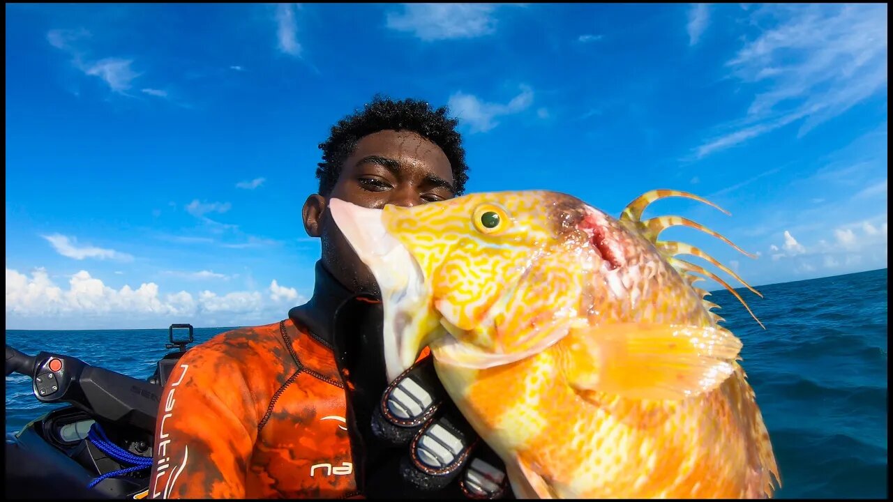 I CAN'T BELIEVE THIS HAPPENED / HOG FISH CATCH AND COOK