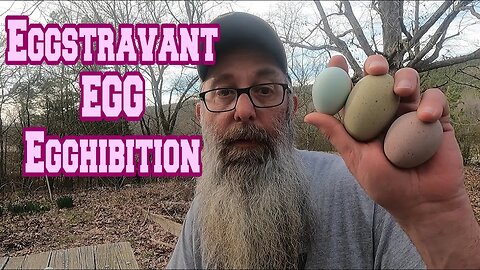 PINK Egg with PURPLE Dots | Giant Green Speckled Egg | Eggstravagant Egg Egghibition!