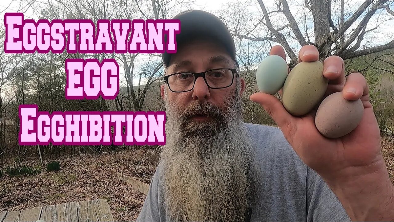 PINK Egg with PURPLE Dots | Giant Green Speckled Egg | Eggstravagant Egg Egghibition!
