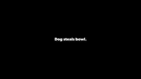 Dog thief