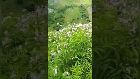 #foryou #astorevalley #astronomy #beautiful #nature #views