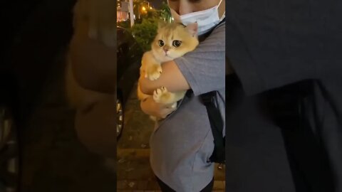 Isn't that cute? "The cat is so loved and happy